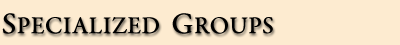 Specialized Groups for Recovery Counseling at Create, Inc.